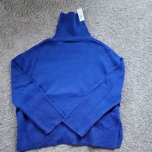 Gap Turtleneck Sweater